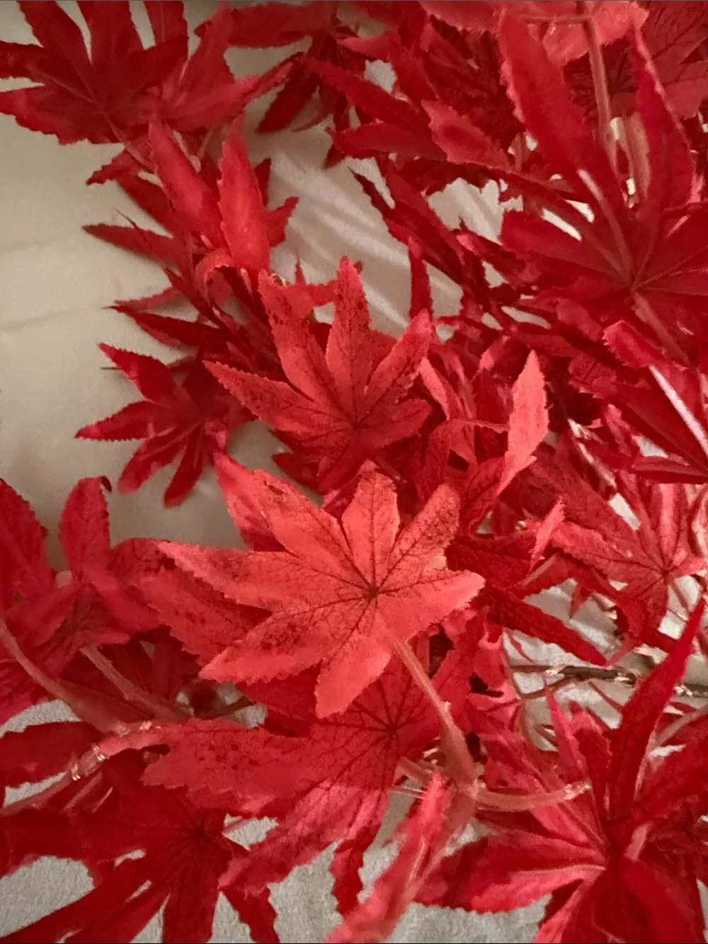 Hearth and Home vibrant red
